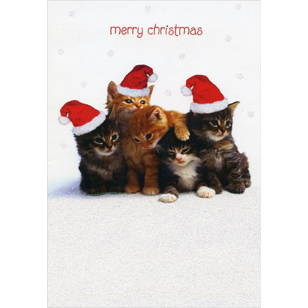 Kitten and Puppy in Stocking Box of 18 Cat and Dog Christmas Cards